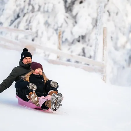 Отель Lapland Winter Park 4*